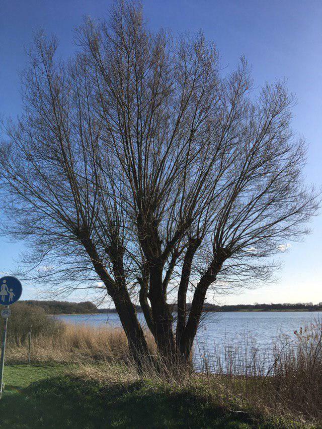 Ferienwohnung Am Noor Nahe Schleswig Und Dem Wikingerdorf Haithabu Fahrdorf  Exterior foto
